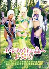 エルフの住む森へようこそ!
