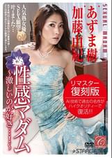 性感マダム ～激しいのが好き…！～ あずま樹 / 加藤由紀
