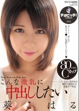こんな微乳に中出しシタい　葵こはる