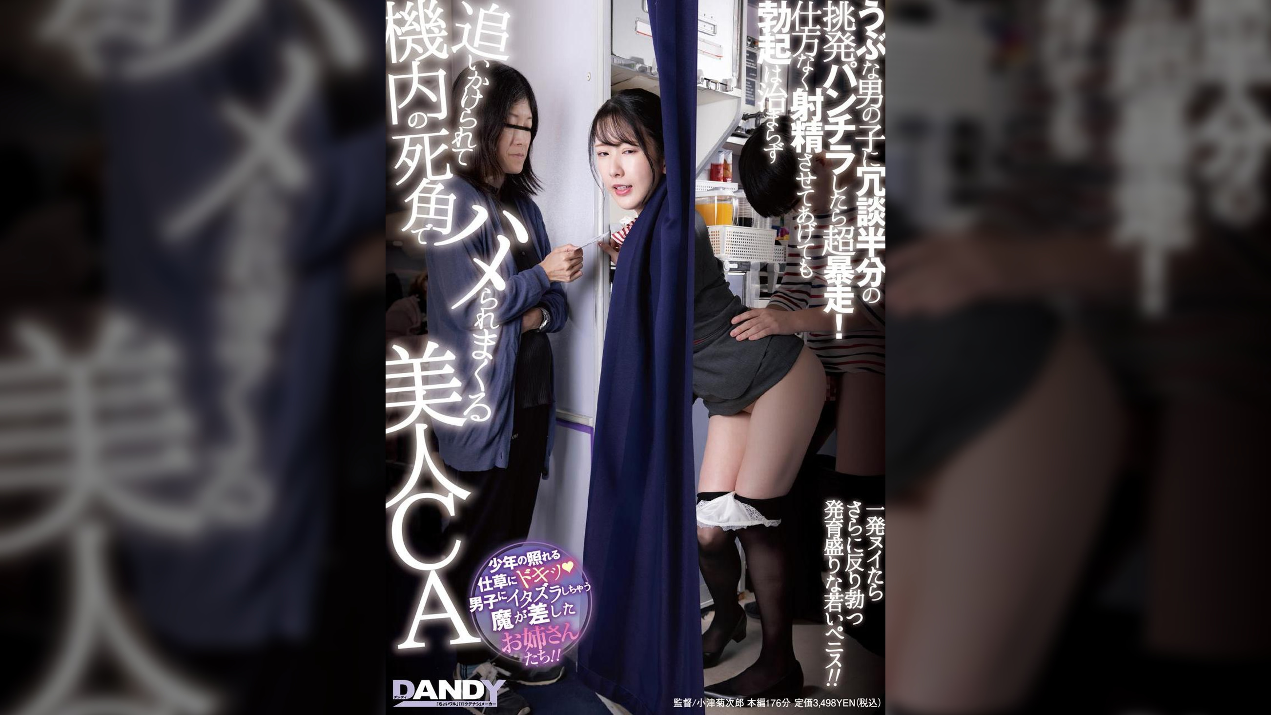 うぶな男の子に冗談半分の挑発パンチラしたら超暴走! 仕方なく射精させてあげても勃起は治まらず追いかけられて機内の死角でハメられまくる美人CA