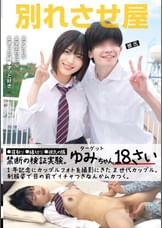 別れさせ屋