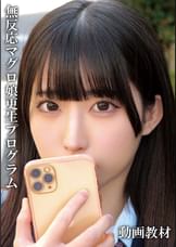 やよい