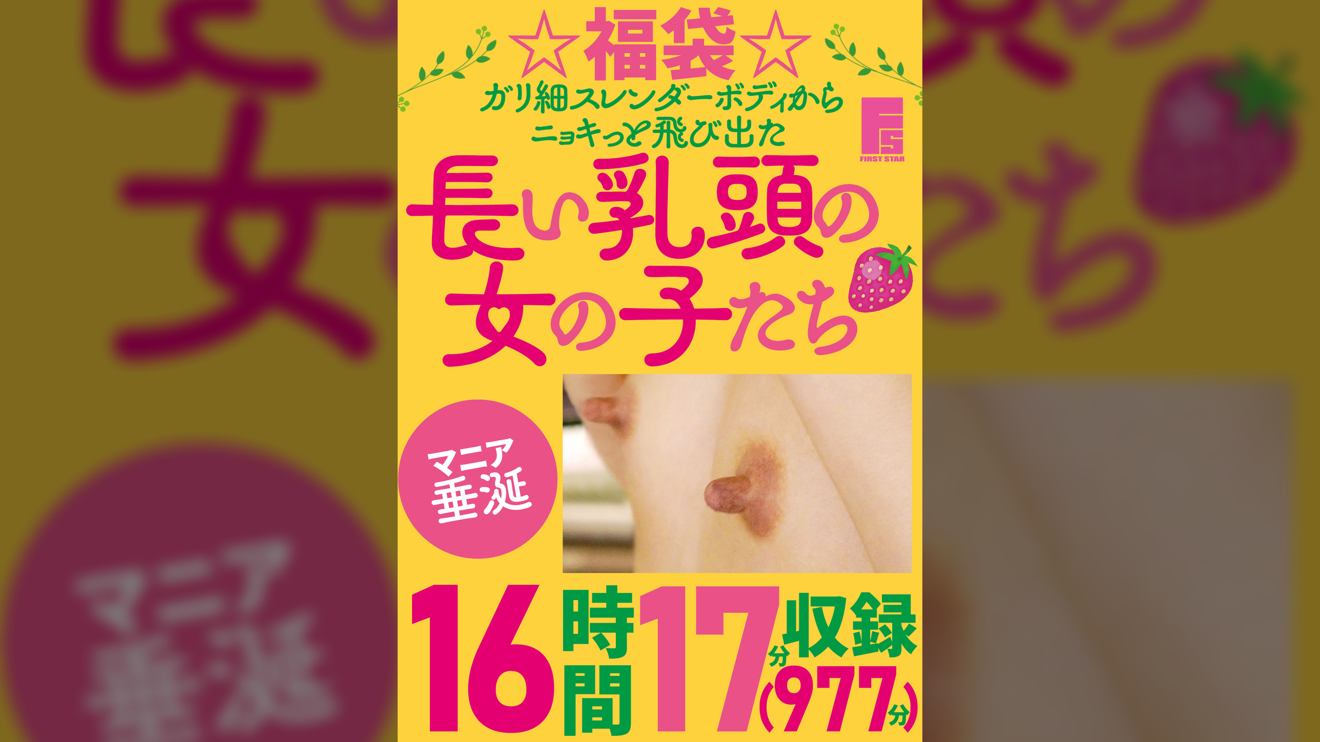 ☆福袋☆ガリ細スレンダーボディからニョキっと飛び出た長い乳頭の女の子たち 16時間17分(977分)収録