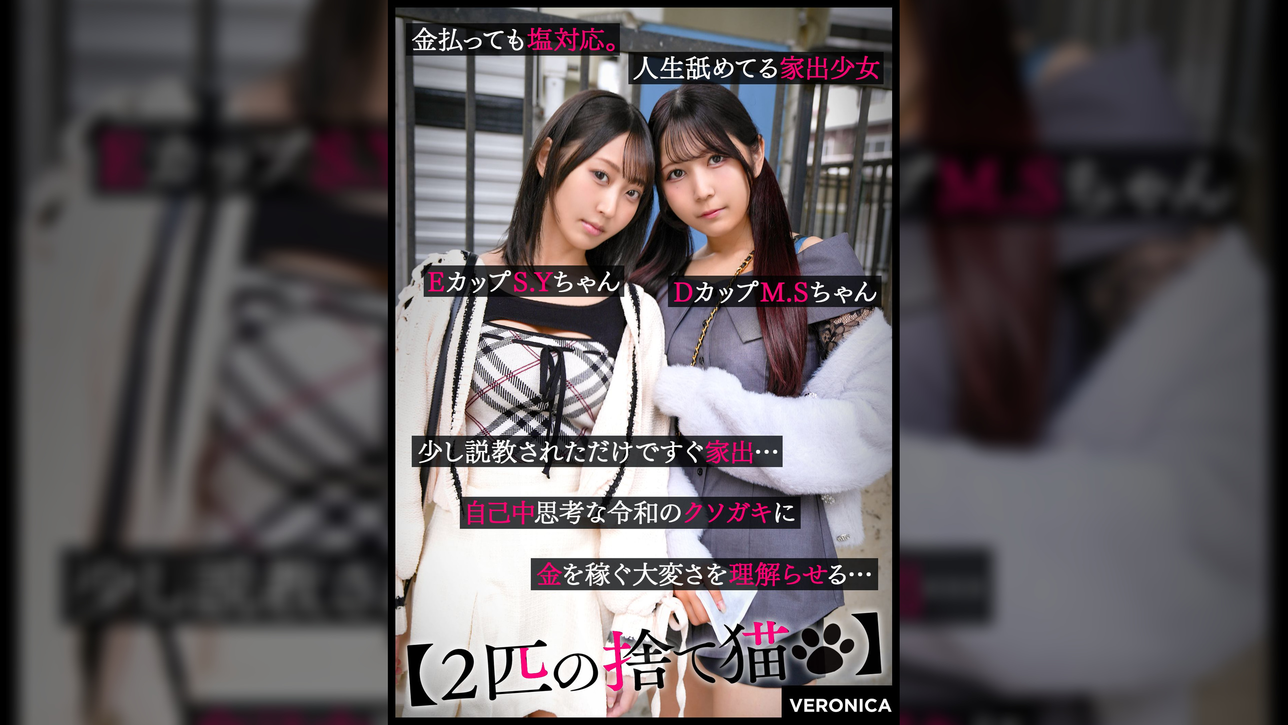 S.Y.＆M.S.