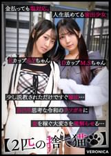 S.Y.＆M.S.