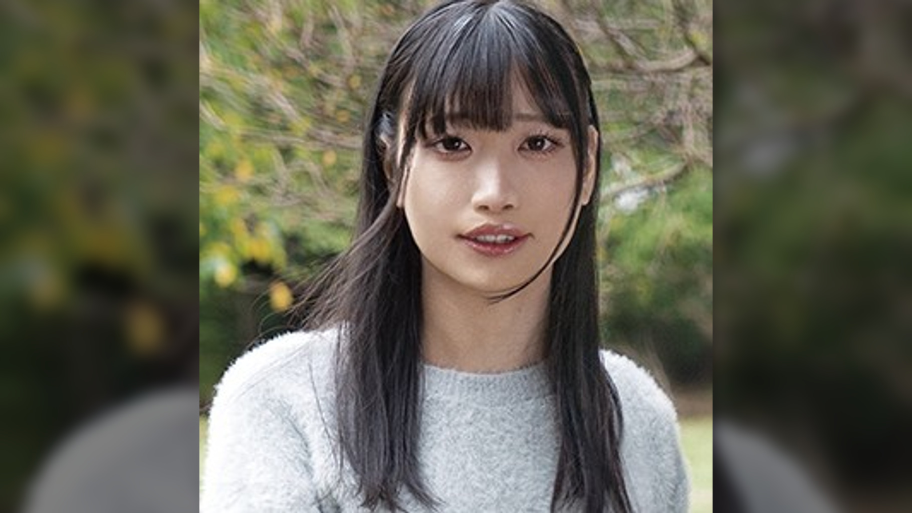 おとなさん　