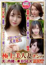 極上美人妻ナンパ 夫に内緒の●褻SEX Best27 6名