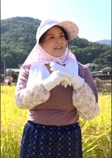AVに出演希望の稲刈り中の爆乳熟女！作業中断中に濃厚AV撮影で、欲求不満解消の中出しセックス！