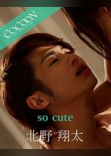 so cute - 北野翔太 -